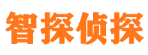 湖滨市私家侦探